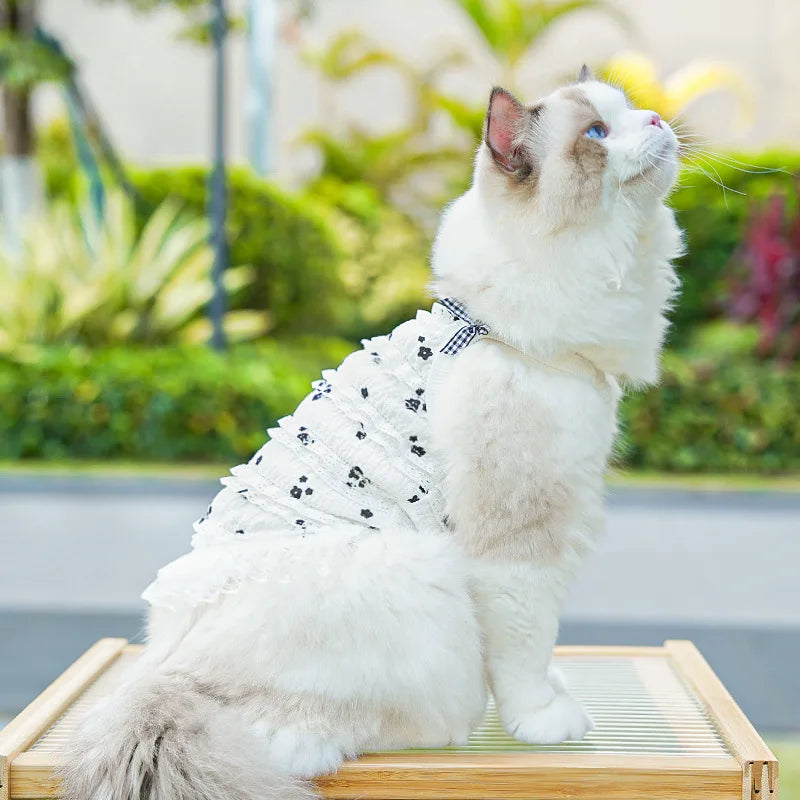Fashion Ruffle Trim Dog Cat Princess Dress Breathable Bow Halter Summer Lace Pet Skirt Summer Elastic Luxury Cute Pet Clothes