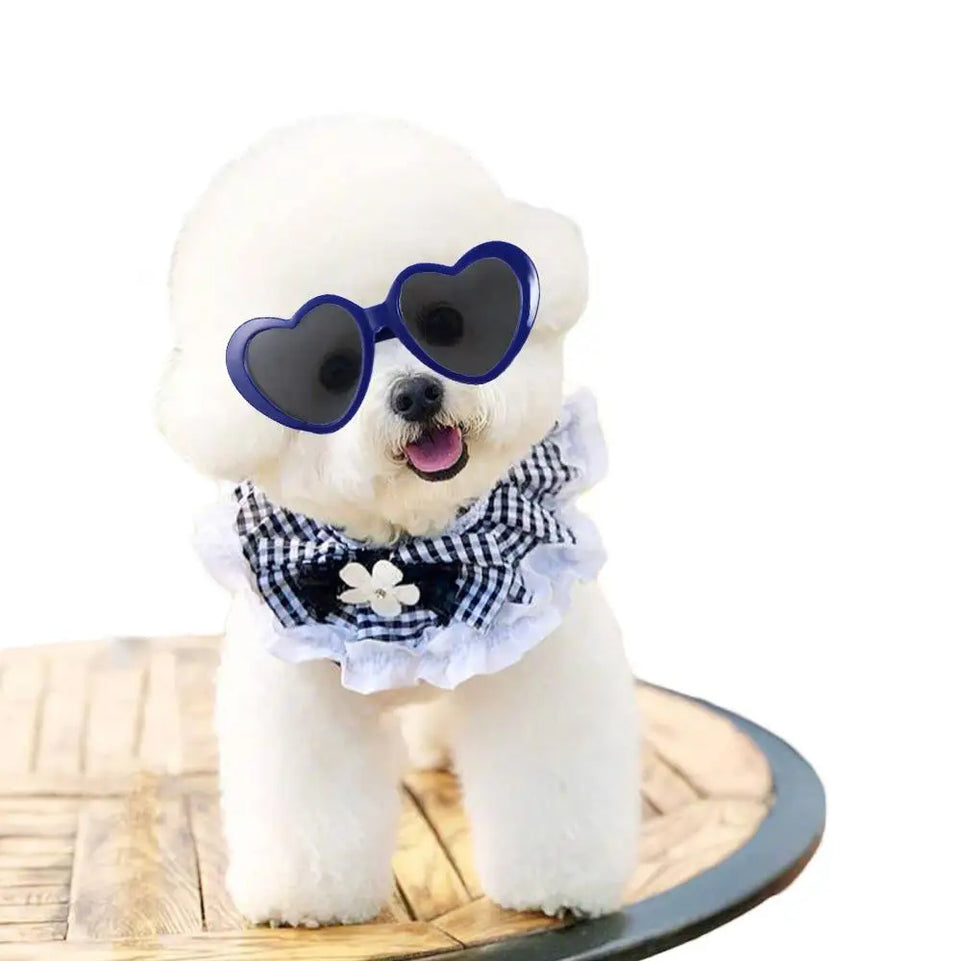 Fashion Plastic Photos Props Pet Glasses Pet Products Pet Accessoires Pets Party Decor Cat  Eye-Wear Cat Sunglasses Cat Glasses