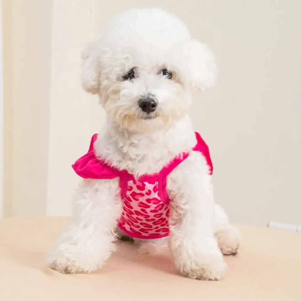 Fashion Cartoon Pattern Pet Summer Clothes Breathable Thin Design Cat Suspender Skirt Soft Dog Swimsuit Summer