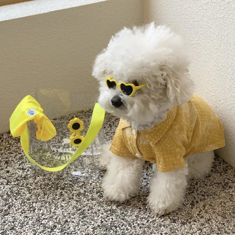 Fashion Plastic Photos Props Pet Glasses Pet Products Pet Accessoires Pets Party Decor Cat  Eye-Wear Cat Sunglasses Cat Glasses
