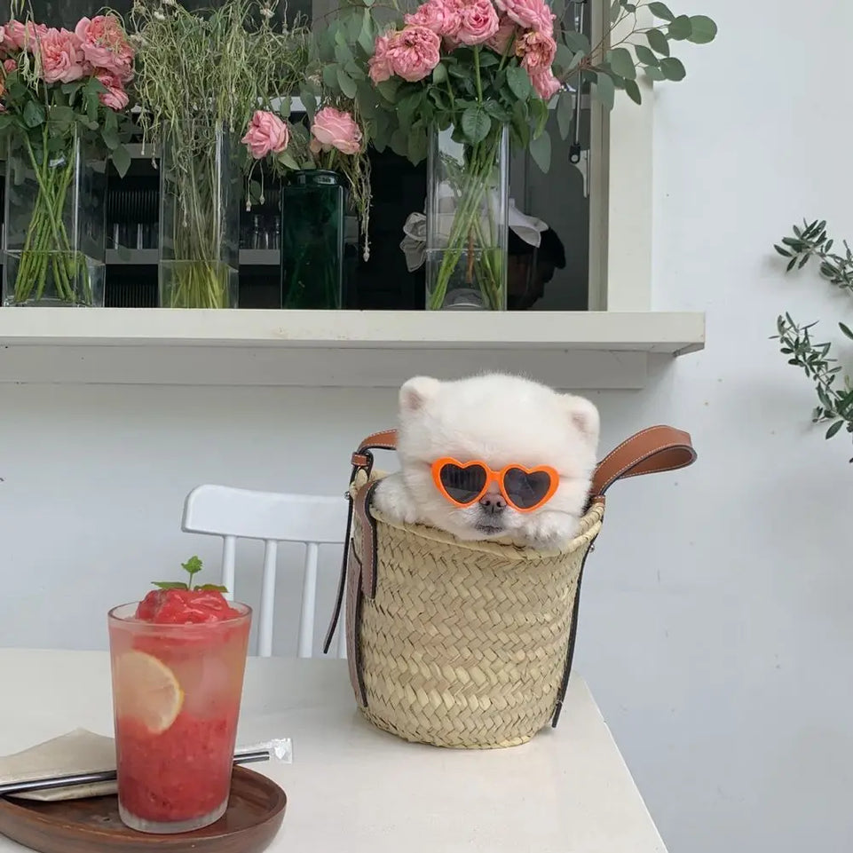 Fashion Plastic Photos Props Pet Glasses Pet Products Pet Accessoires Pets Party Decor Cat  Eye-Wear Cat Sunglasses Cat Glasses