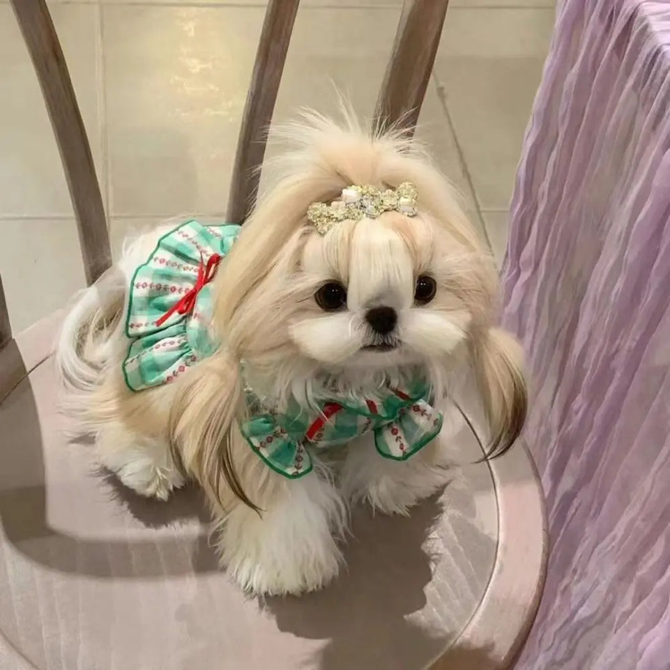 Fashion Polyester Fiber Pet Love Shirt Skirt INS Style Green Dog Plaid Shirt Skirt Cute Pet Plaid Dress Summer and Autumn