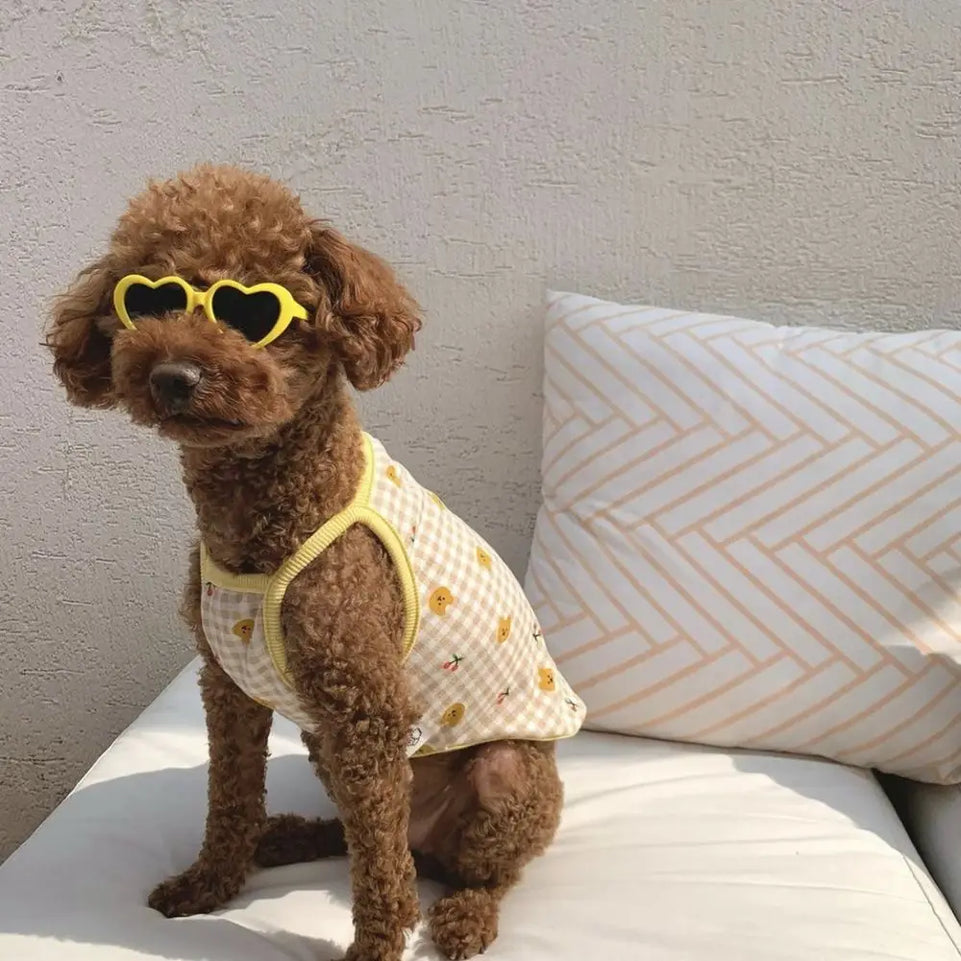Fashion Plastic Photos Props Pet Glasses Pet Products Pet Accessoires Pets Party Decor Cat  Eye-Wear Cat Sunglasses Cat Glasses