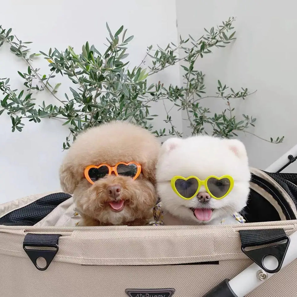 Fashion Plastic Photos Props Pet Glasses Pet Products Pet Accessoires Pets Party Decor Cat  Eye-Wear Cat Sunglasses Cat Glasses