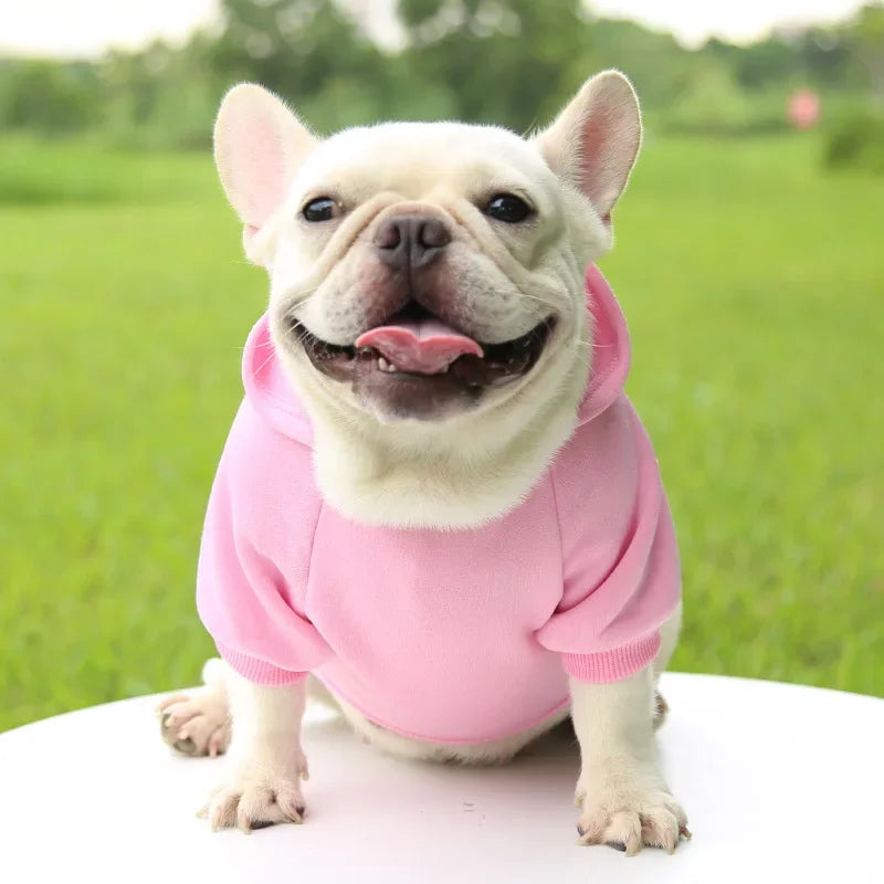 Fashion Dog Clothing Autumn and Winter Small Pet Clothes Thickening Warm Solid Color Two-Feet Hooded Weater Casual Pet Products