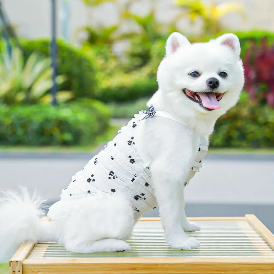 Fashion Ruffle Trim Dog Cat Princess Dress Breathable Bow Halter Summer Lace Pet Skirt Summer Elastic Luxury Cute Pet Clothes