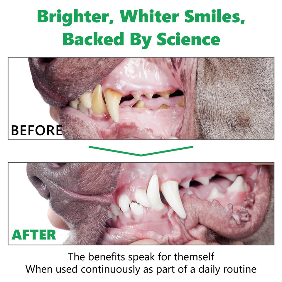 50g Pet Dental Cleaning Powder for Dogs Recommended by vets for good oral health Reduces Plaque Prevents Tartar Improves Breath