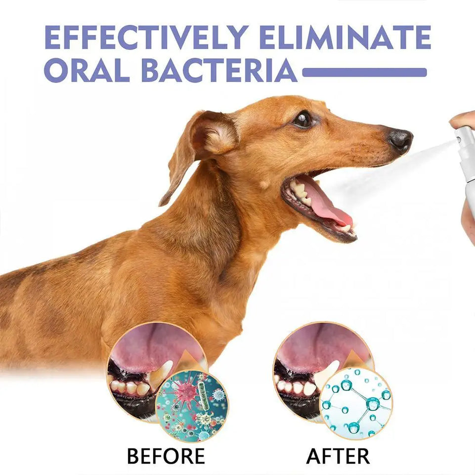1PCS 30ml Pet Dental Spray Teeth Cleaning Oral Care Solution For Dogs Cats Remove Plaque Tartar Fresh Breath Anti Plaque Formula