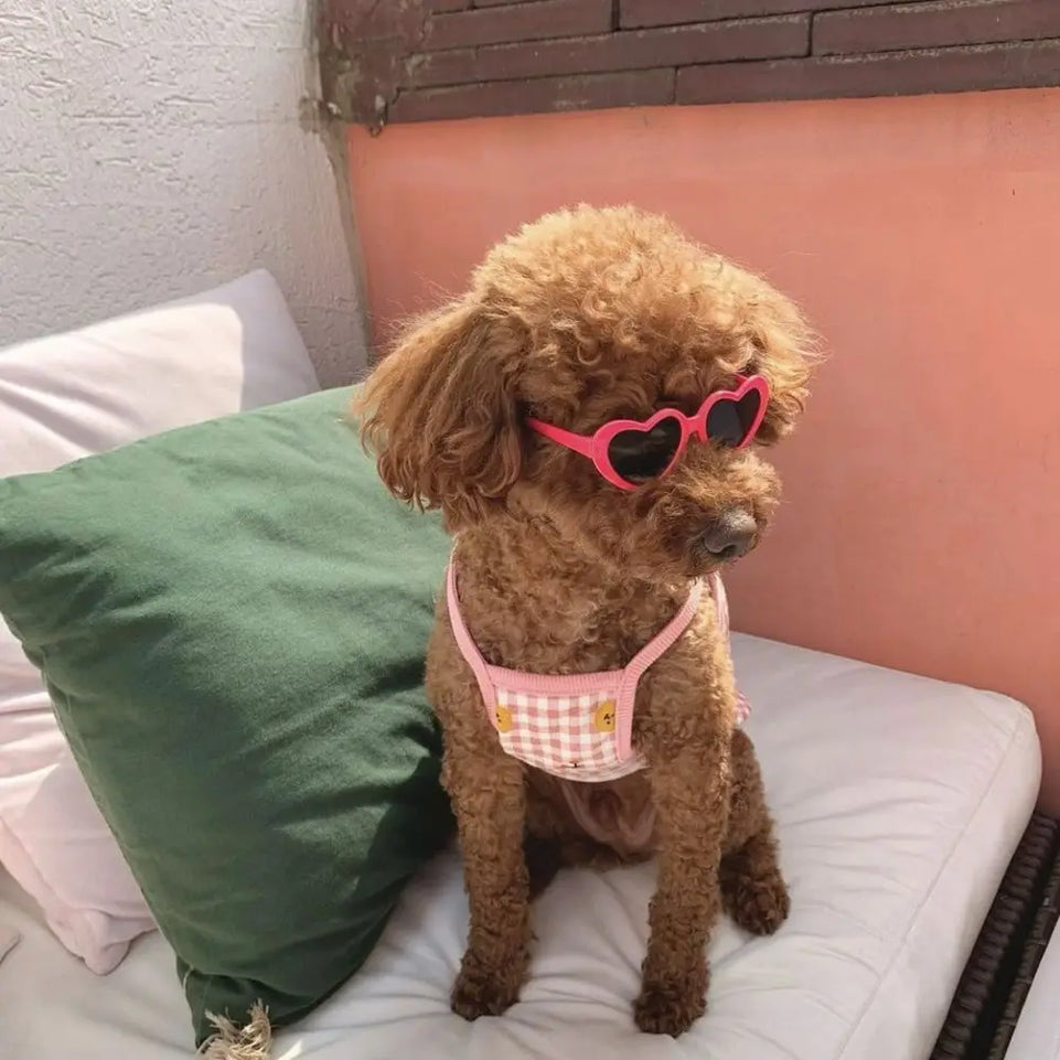 Fashion Plastic Photos Props Pet Glasses Pet Products Pet Accessoires Pets Party Decor Cat  Eye-Wear Cat Sunglasses Cat Glasses