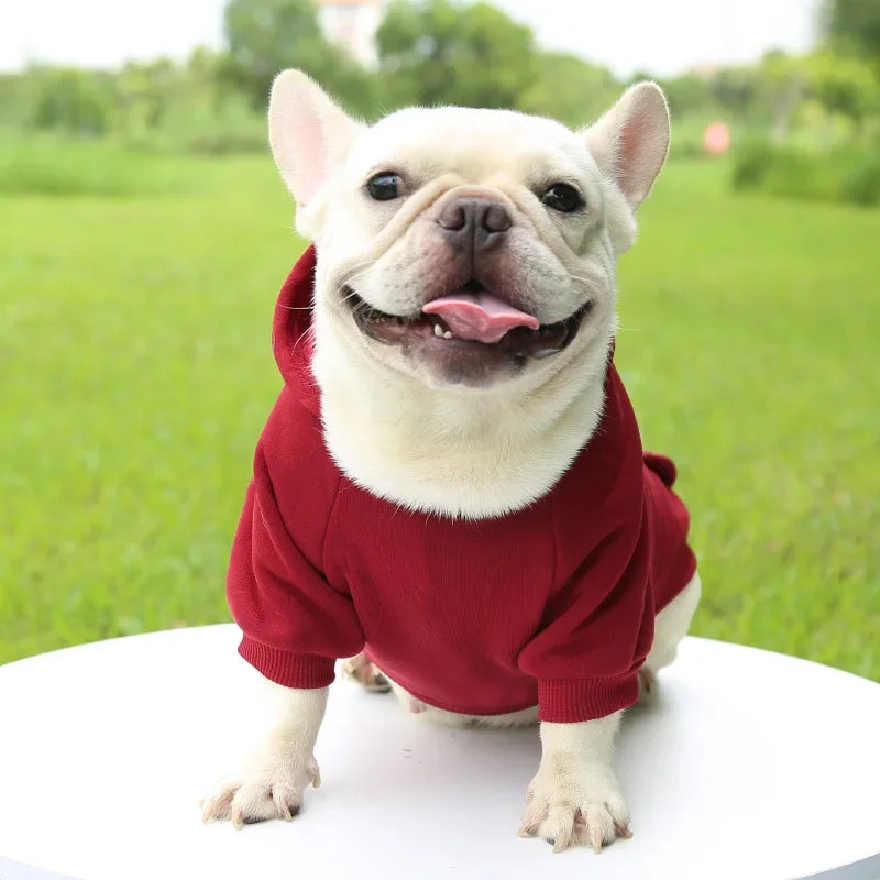 Fashion Dog Clothing Autumn and Winter Small Pet Clothes Thickening Warm Solid Color Two-Feet Hooded Weater Casual Pet Products