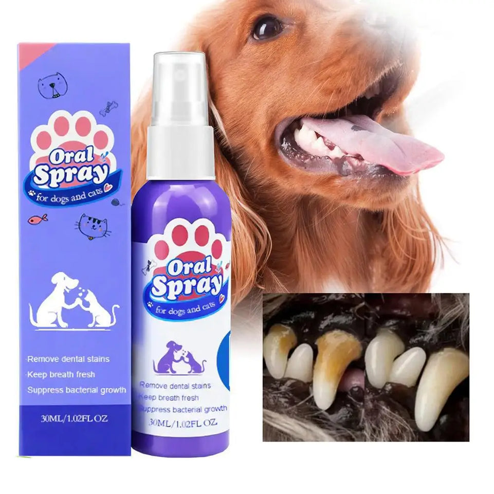 1PCS 30ml Pet Dental Spray Teeth Cleaning Oral Care Solution For Dogs Cats Remove Plaque Tartar Fresh Breath Anti Plaque Formula
