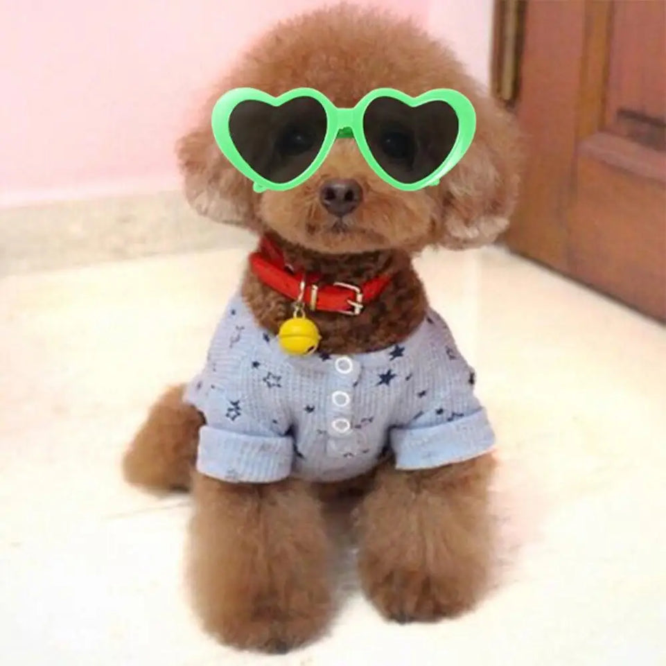 Fashion Plastic Photos Props Pet Glasses Pet Products Pet Accessoires Pets Party Decor Cat  Eye-Wear Cat Sunglasses Cat Glasses