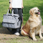 Pet Travel