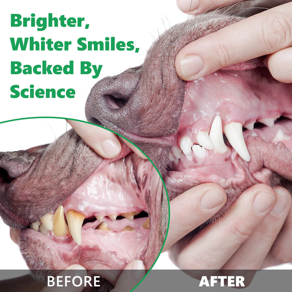 50g Pet Dental Cleaning Powder for Dogs Recommended by vets for good oral health Reduces Plaque Prevents Tartar Improves Breath