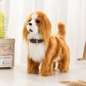 Pet Interactive